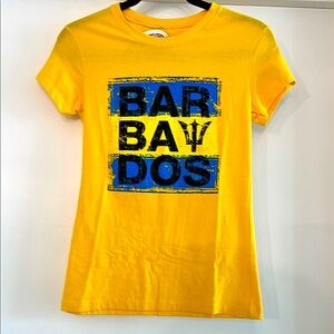 Barbados Graphic Tee in Yellow and Blue Size M